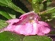 Dscn4192